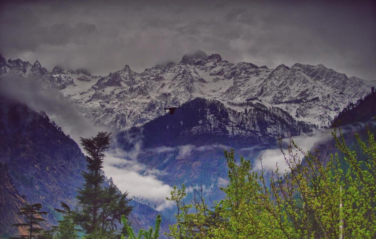 Memoir Homestay Kasol Dış mekan fotoğraf