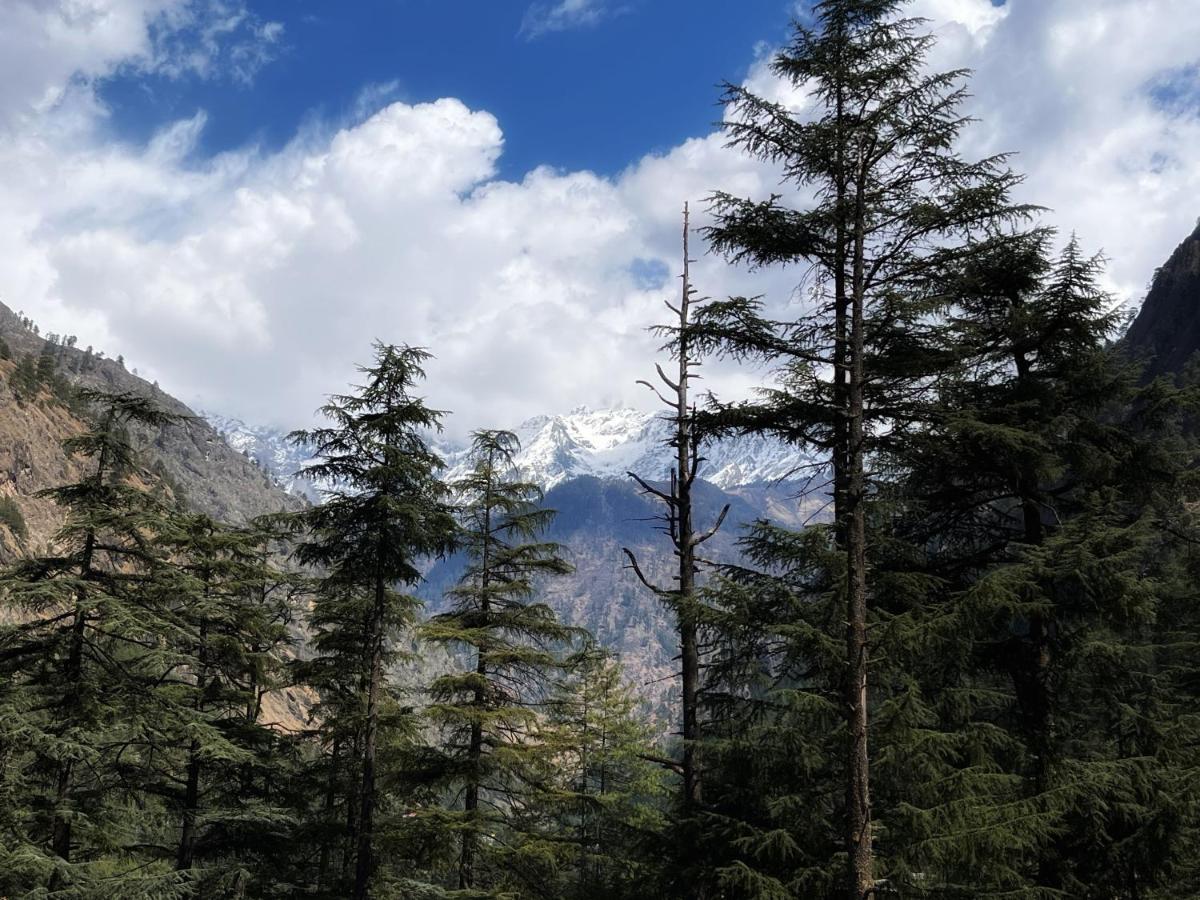 Memoir Homestay Kasol Dış mekan fotoğraf